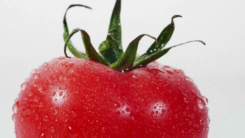 Water splash drop on rotating fresh red tomatoes on white background Stock Footage 147284047