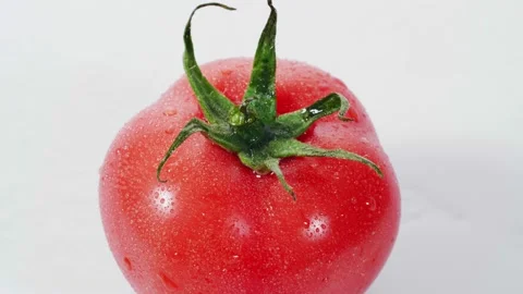 Water splash drop on rotating fresh red tomatoes on white background Stock Footage 147284132