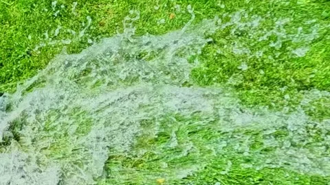 Water splash expanding dynamically on lawn surface Stock Footage 317828661