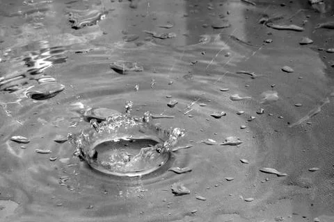 Water splash of falling drop with circular waves Stock Photos