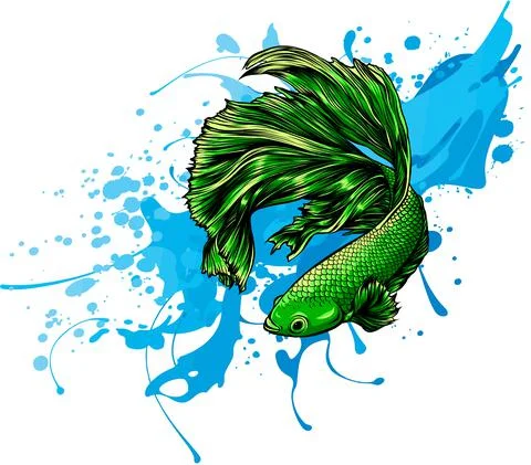 Water splash with fish around. Vector Illustration. イラスト素材