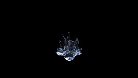 Water Splash Flower Stock Footage 107556404