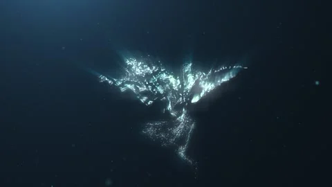 Water Splash Stock Footage 152506182