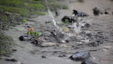 Water Splash Stock Footage 237157244