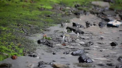 The Water Splash Stock Footage 237157338