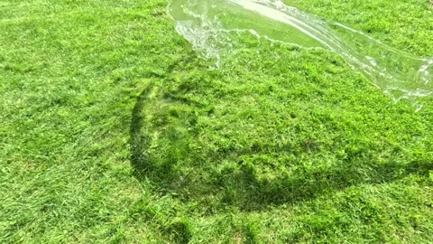 Water splash forming arc pattern on green grass Stock Footage 319872755