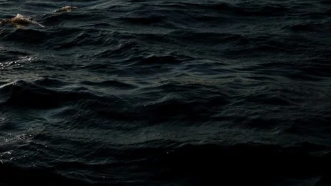Water Splash Isolated On The Black background Stock Footage 259462491
