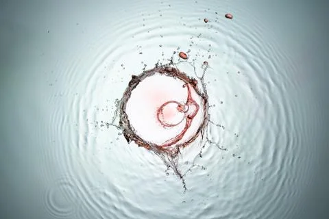Water Splash Stock Photos