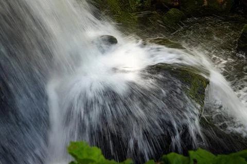 Water splash Stock Photos