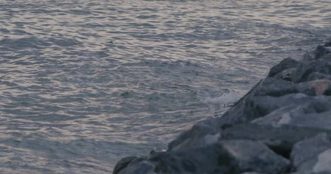 Water Splash On Rocks - Slow Motion 4k Stock Footage 245375455