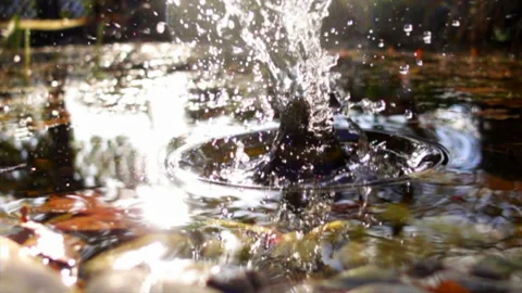 Water Splash in Slow Motion Stock Footage 216843418