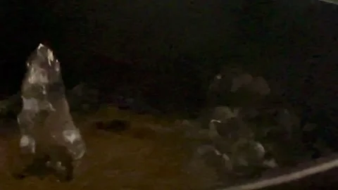 Water splash in slow motion Stock Footage 329623702