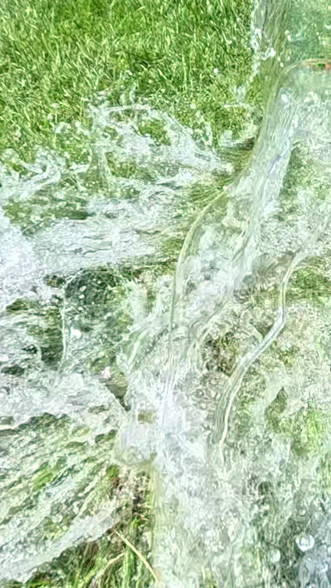 Water splash spreading over green grass Stock Footage 317167943