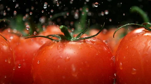 Water splash on tomato, Slow Motion Stock Footage