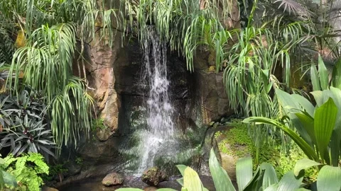 Water splashed from garden waterfall decorations in a indoor park Video stock 315347195