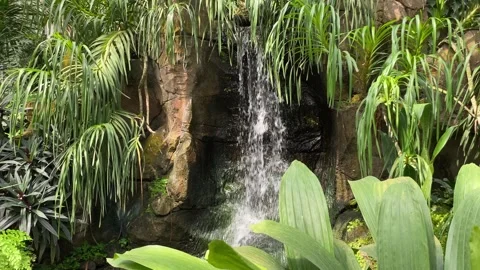 Water splashed from garden waterfall decorations in a indoor park Video stock 315347197