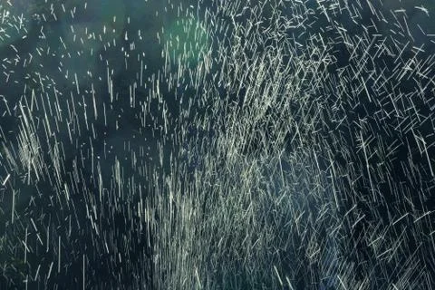 Water splashes on a dark blue background Stock Photos