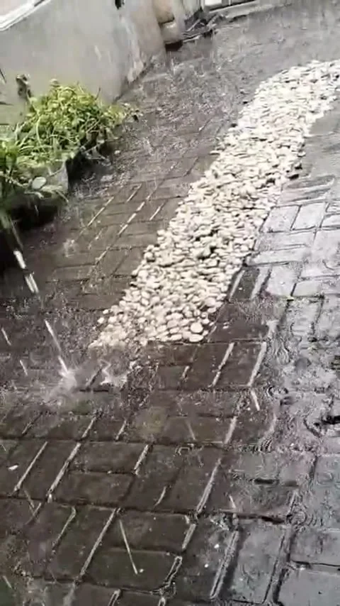 Water Splashes on Dark Tiles and Green Plants in an Urban Setting Stock Footage 296366143