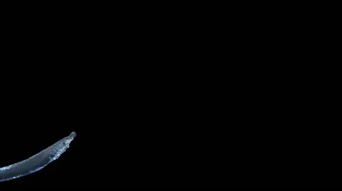Water splashes  isolated on black background with alpha Stock Footage 43251548