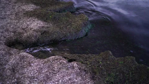 Water splashes on the seashore Stock Footage 135353488