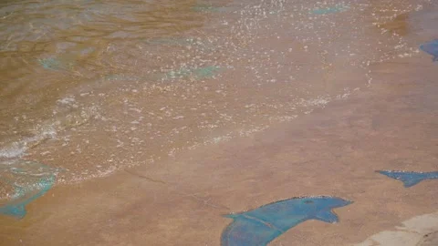 Water splashes in swimming pool with artificial wave in luxury resort with hotel Stock Footage 157438959