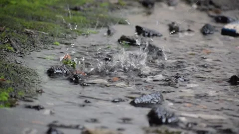 Water Splashing Stock Footage 237157178