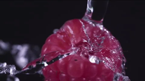 Water Splashing on Fresh raspberry Super Slow Motion at 1000fps 스톡 동영상 141065946