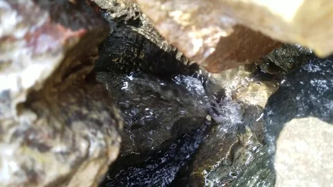 Water splashing through the rocks Stock Footage