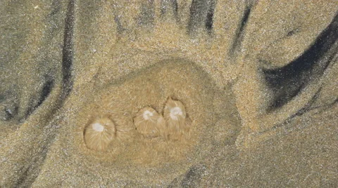 Water Spouting Through Sand Bed Stock Footage 53141115