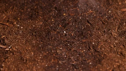 Water Spray on Soil in Laboratory Experiment Stock Footage 305433413