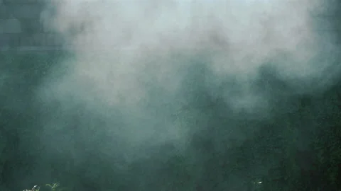 Water spray system on the background of a green wall with plants. garden Stock Footage 201307157