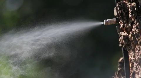 Water spray on tree in the garden Video stock 47221857