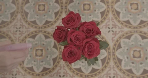 Water sprayed on Roses on Tiled Background Stock Footage 124047656