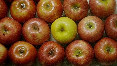 Water spraying on apples Video stock 126853195