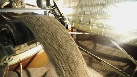 Water Spraying On Cement Clinker From Conveyor Belt In Cement Factory. Stock Footage 161799283
