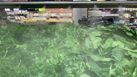 Water spraying in the green vegetables to keep them fresh at a supermarket Stock Footage 166358944