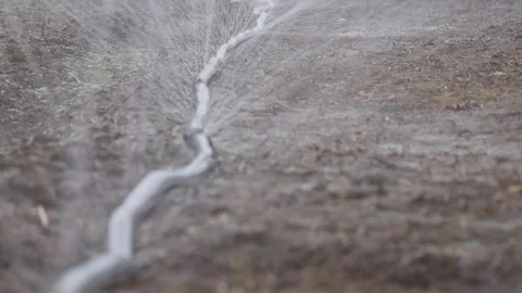 Water spraying from a long irrigation line across a dry farm field with sparse g Stock Footage 344710814