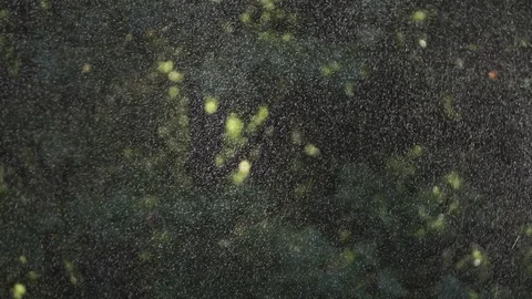 Water spraying in the wind on blurred background (ungraded) Stock Footage 119680583