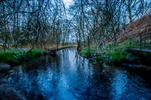 Water in spring with bloom trees in Europe Stock Illustration