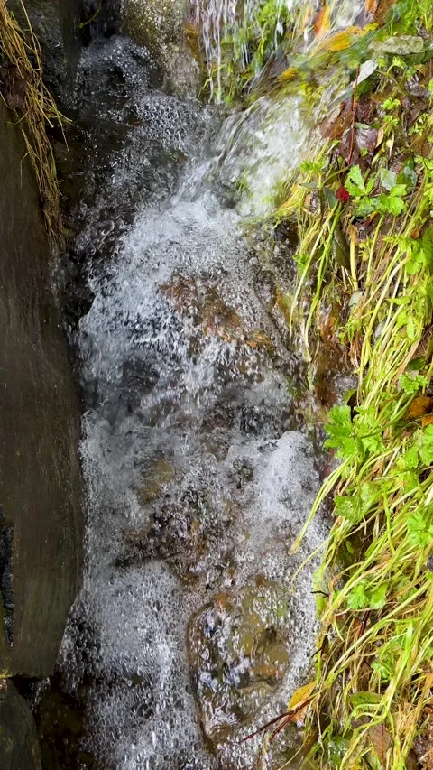 Water spring Stock Footage 254730924