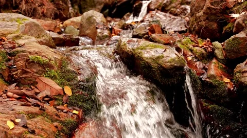 Water Spring Stock Footage 256477415