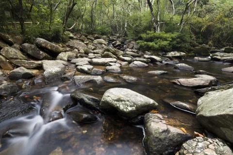 A water spring in forest. Stock Photos