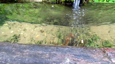 Water spring in green forest Stock Footage 50660234