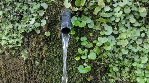 Water spring in Maramures county, Romania - in the summer Stock Footage 199263731