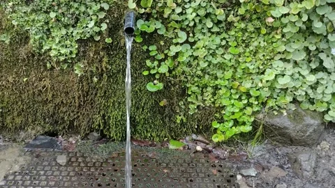 Water spring in Maramures county, Romania - in the summer Stock Footage 199263738