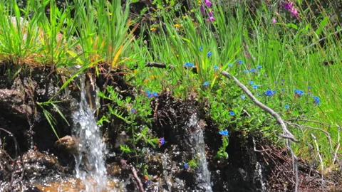 Water spring on mountains background. Stock Footage 91953722