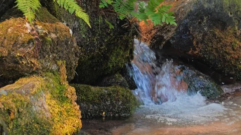 Water spring on rock mountains 動画素材 111389259