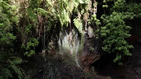 Water spring running down the cliffs, rocks with sun shining on it Stock Footage 170838517