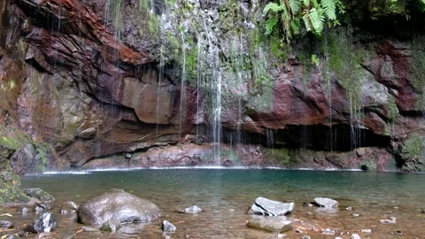 Water spring running down the cliffs, rock.  25 (Fontes) Springs in Madeira Stock Footage 171294379
