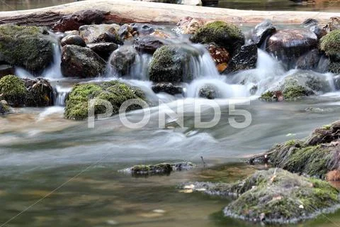 Water spring scene.JPG Stock Photos